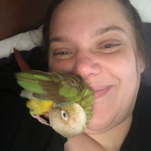 Meet your Posher, Bill